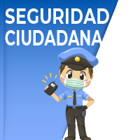 Seguridad Ciudadana