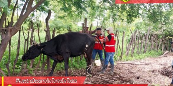 339078145_979378616363959_4558701540054104725_n