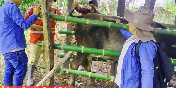 341460991_275571634798508_5125561968382691020_n