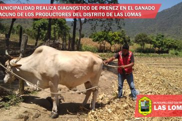 405420916_921945489508032_7774239477407410796_n