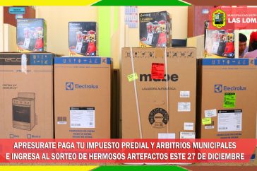 407711792_922940516075196_807074736363577009_n